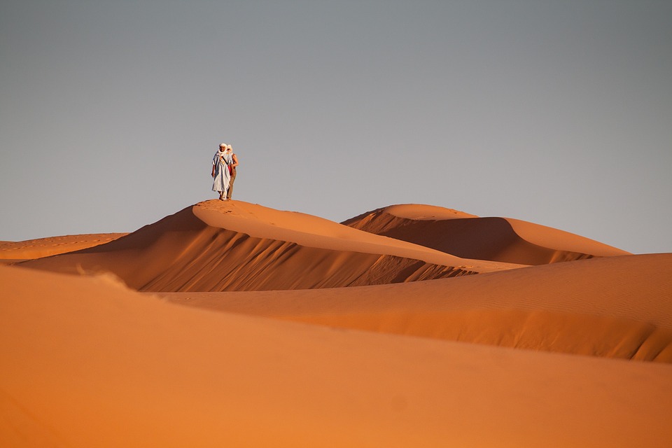 Dunes of the Sahara